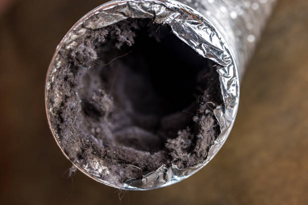 Best HVAC Duct Inspection Services  in Savage, MN