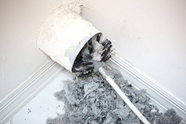 Best Home Air Vent Cleaning  in Savage, MN